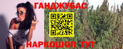 гашик Бузулук