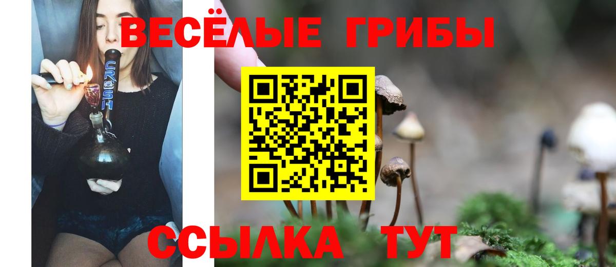 Галлюциногенные грибы Psilocybe  Вход с VPN  Советск 